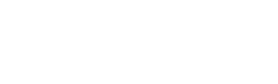 ION Group